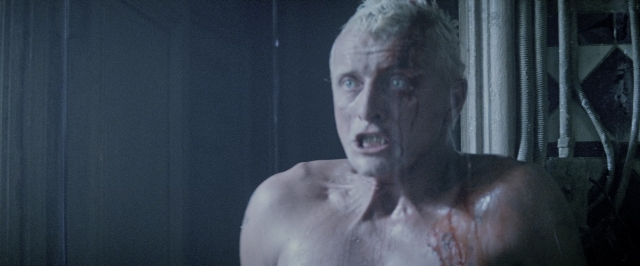 Medium shot frame from Blade Runner — room, face, hair