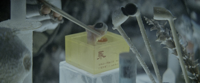 seria-87588.jpg