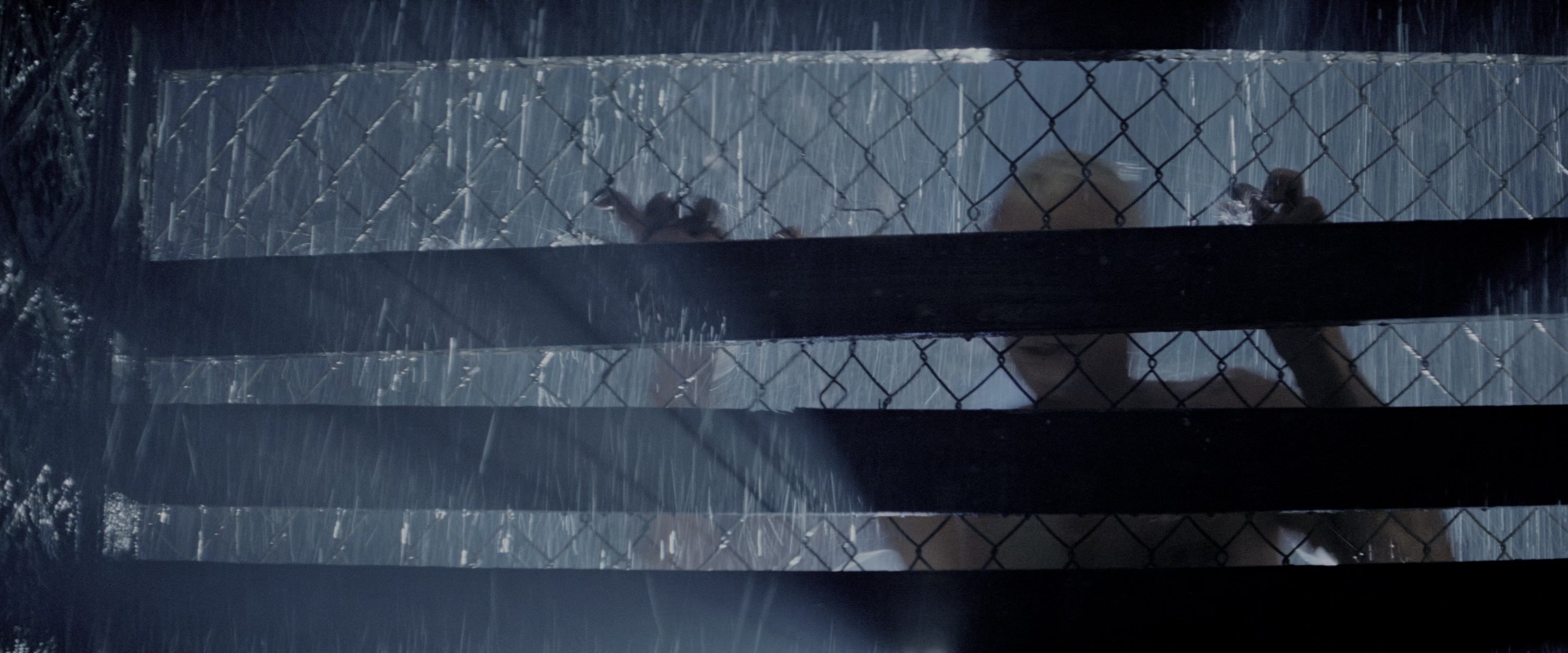 Blade Runner (1982), unknown, 2.40:1 — film still