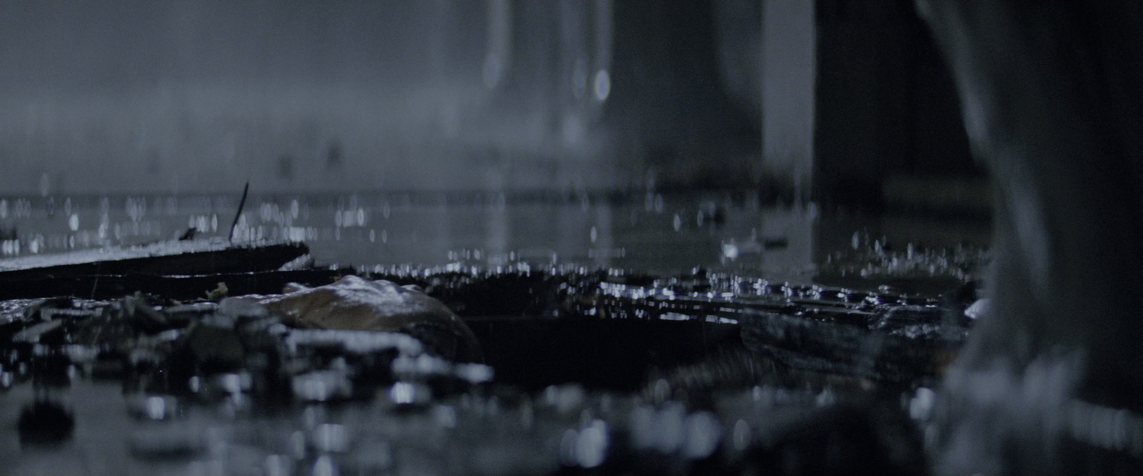 Blade Runner (1982), wide, 2.40:1 — film still
