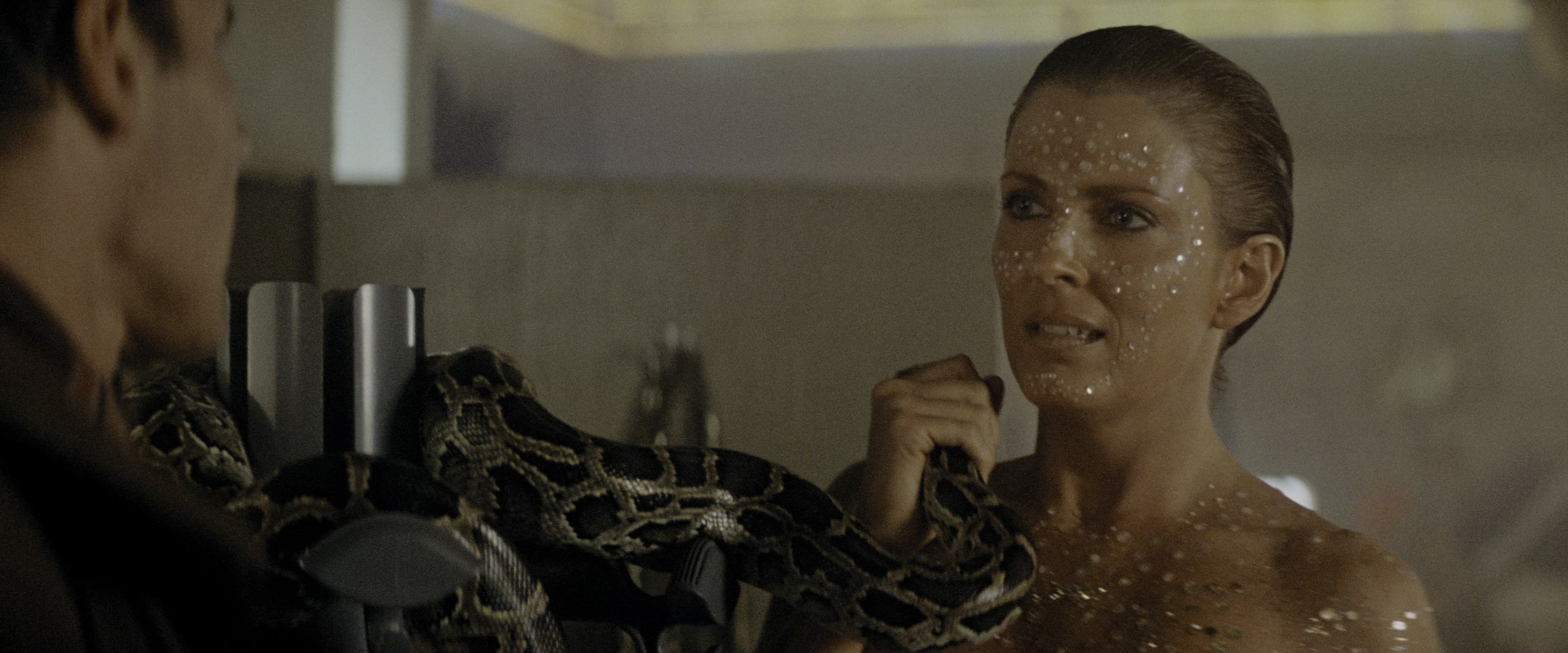 Blade Runner (1982), medium, 2.40:1 — film still