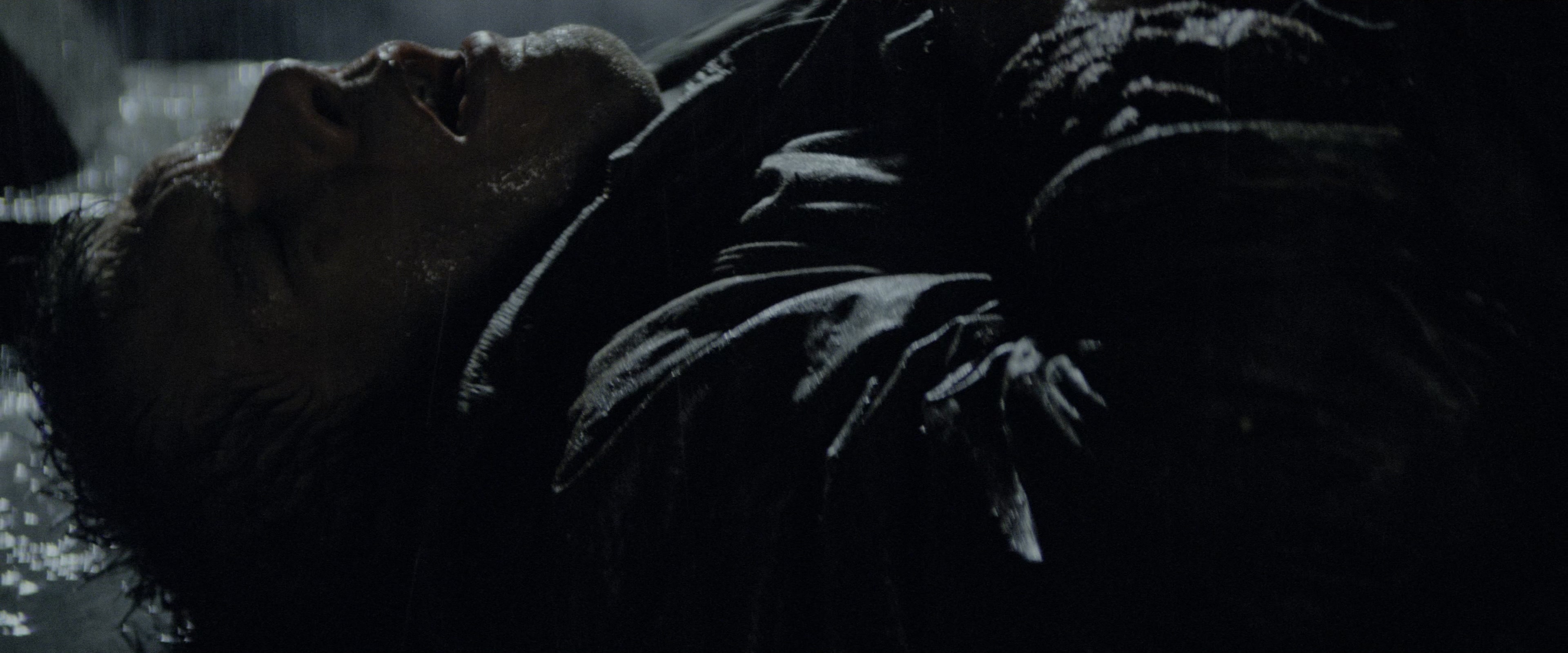 Blade Runner (1982), unknown, 2.40:1 — film still