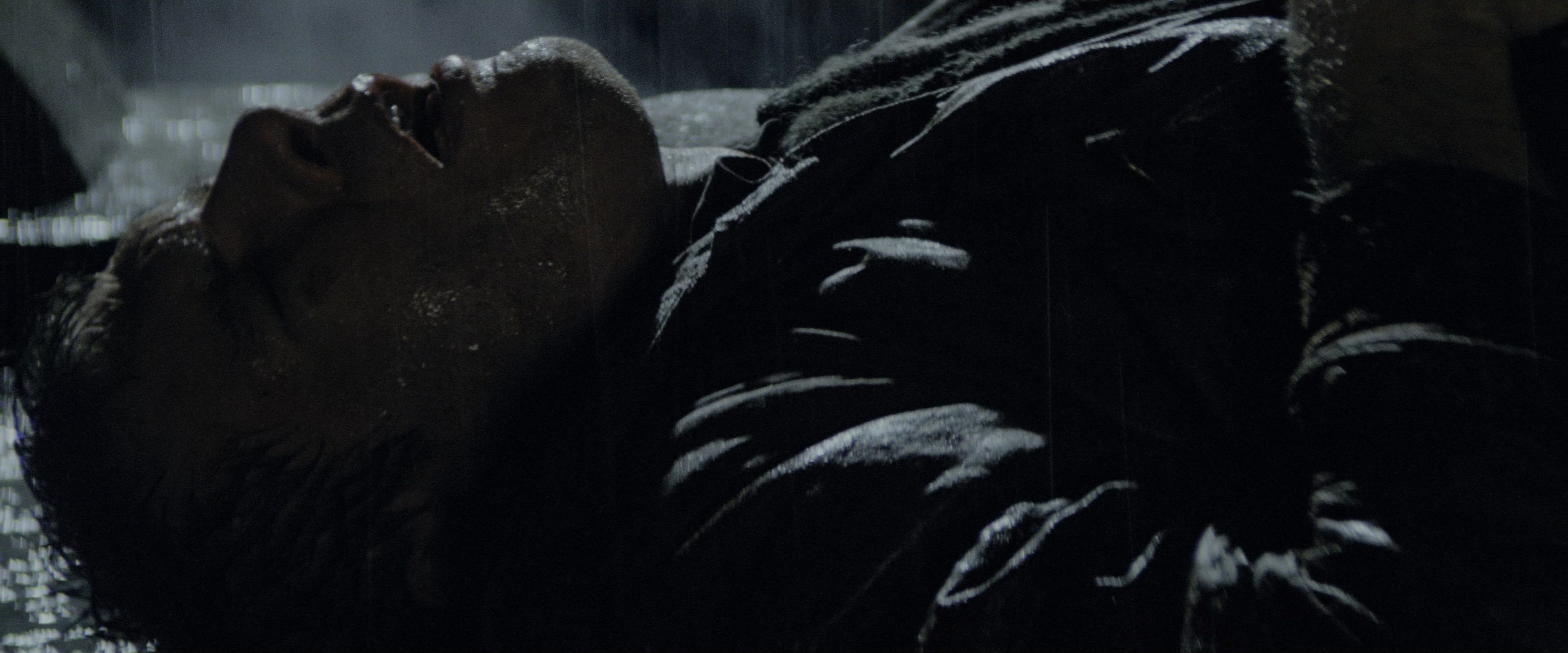 Blade Runner (1982), wide, 2.40:1 — film still