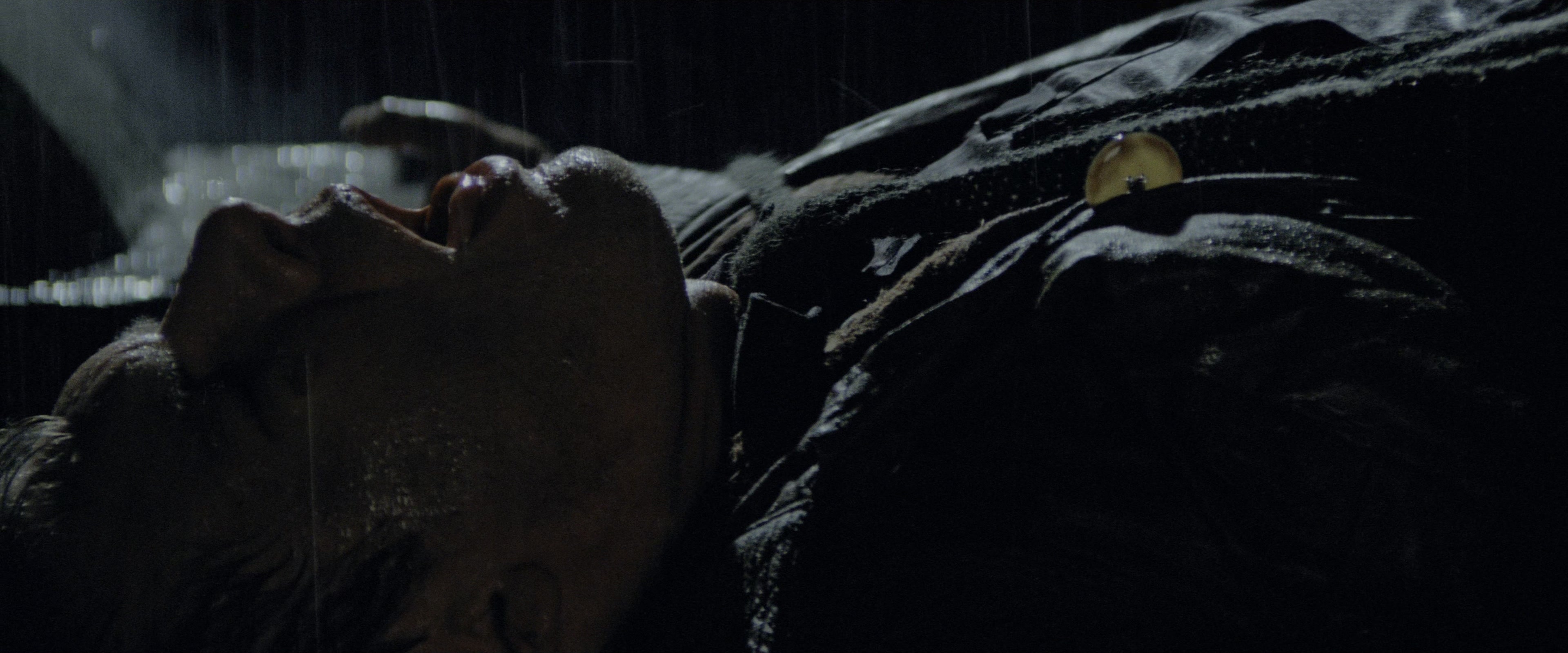 Blade Runner (1982), wide, 2.40:1 — film still
