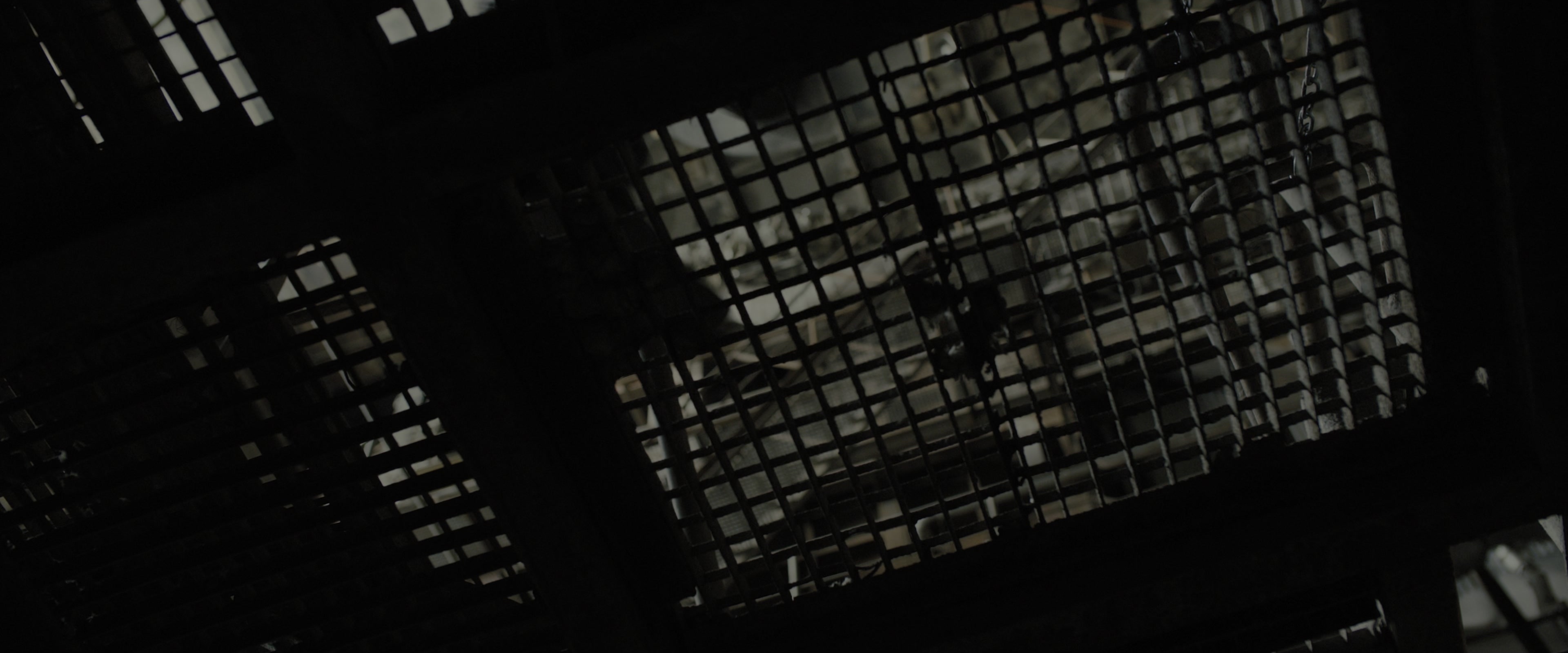 Blade Runner 2049 (2017), wide, 2.40:1 — film still