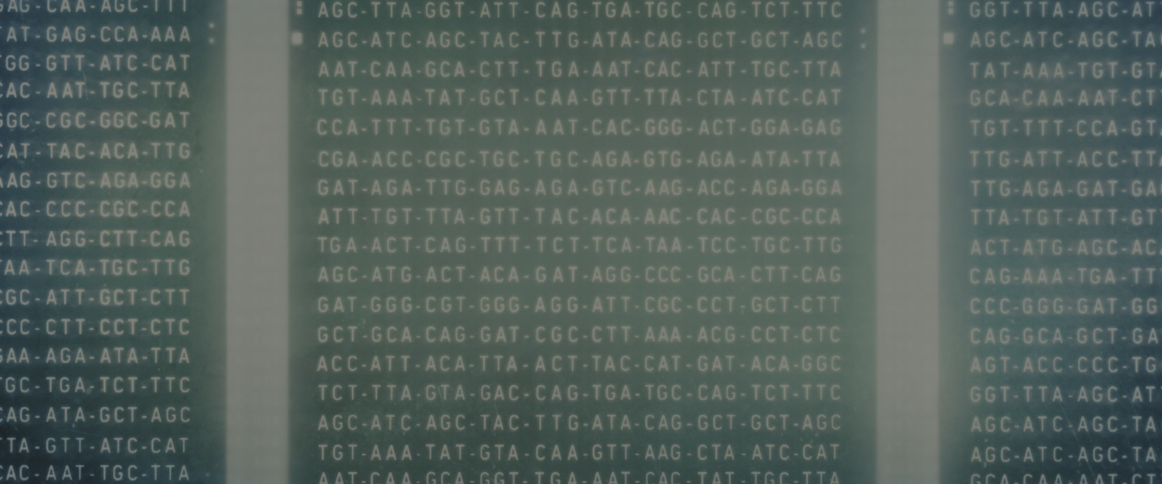 Blade Runner 2049 (2017), wide, 2.40:1 — film still