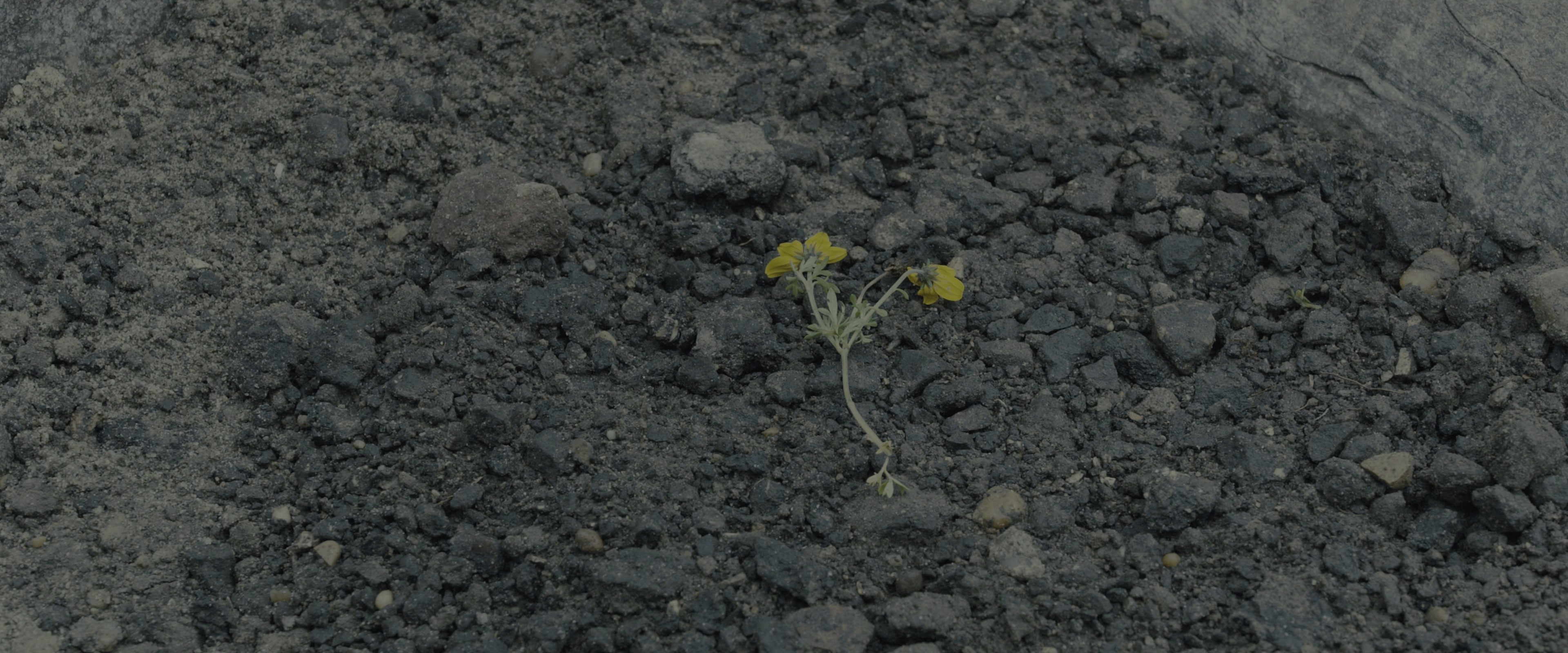 Blade Runner 2049 (2017), wide, 2.40:1 — film still