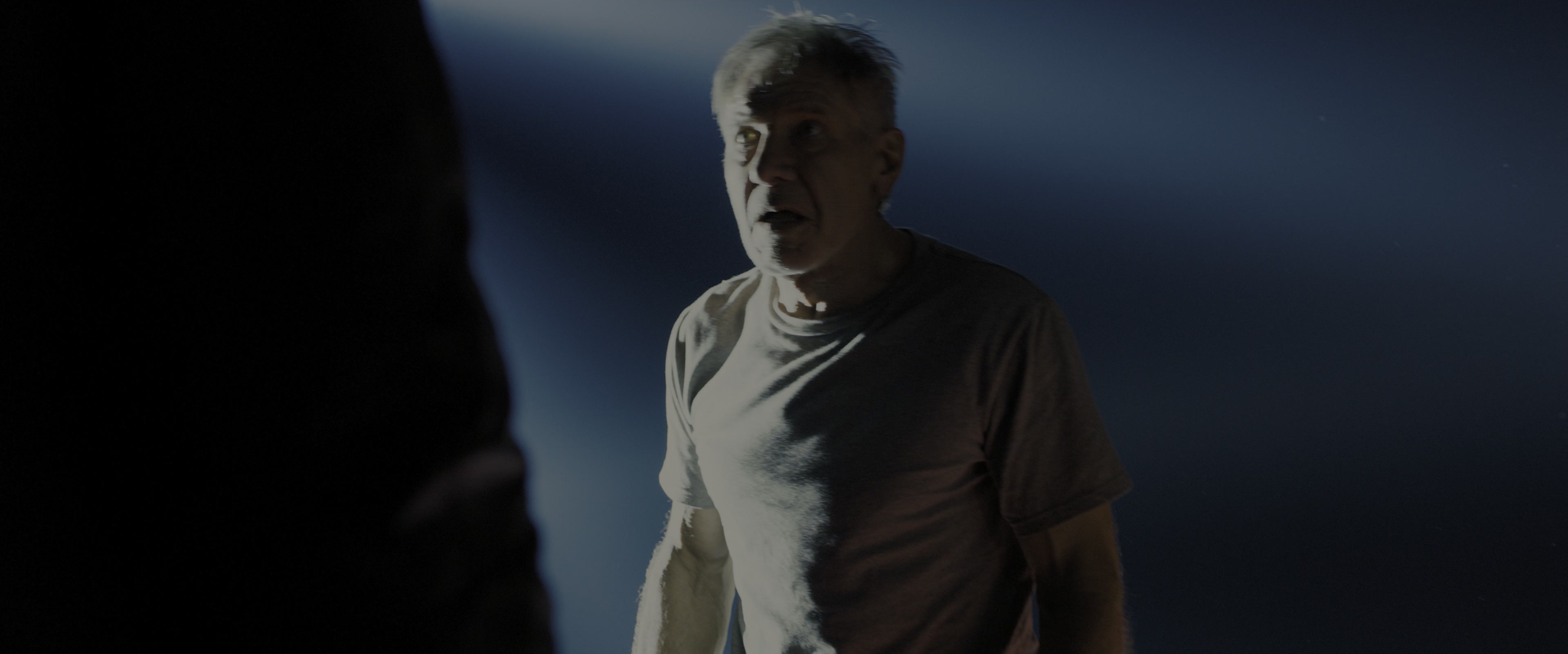 Blade Runner 2049 (2017), wide, 2.40:1 — film still
