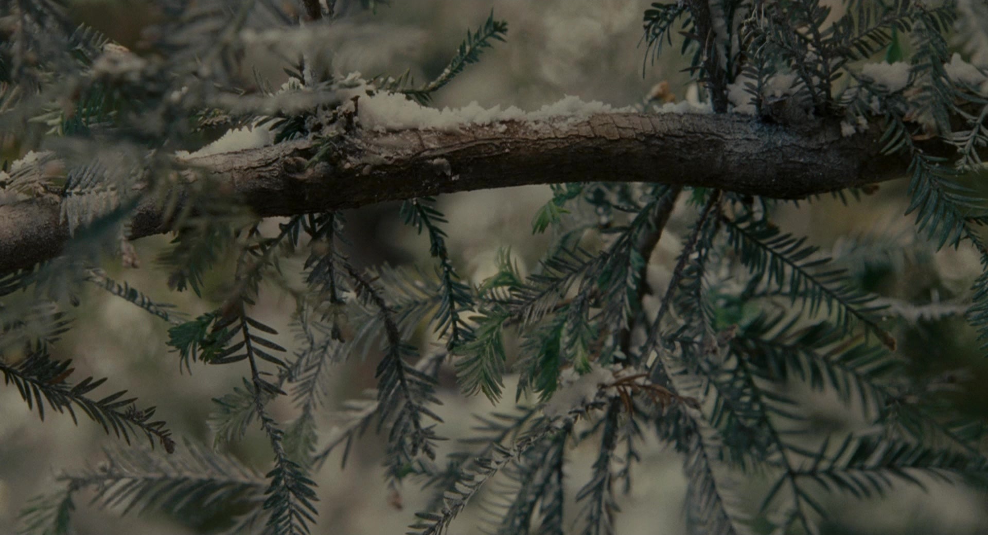 The Holiday (2006), unknown, 1.85:1 — film still