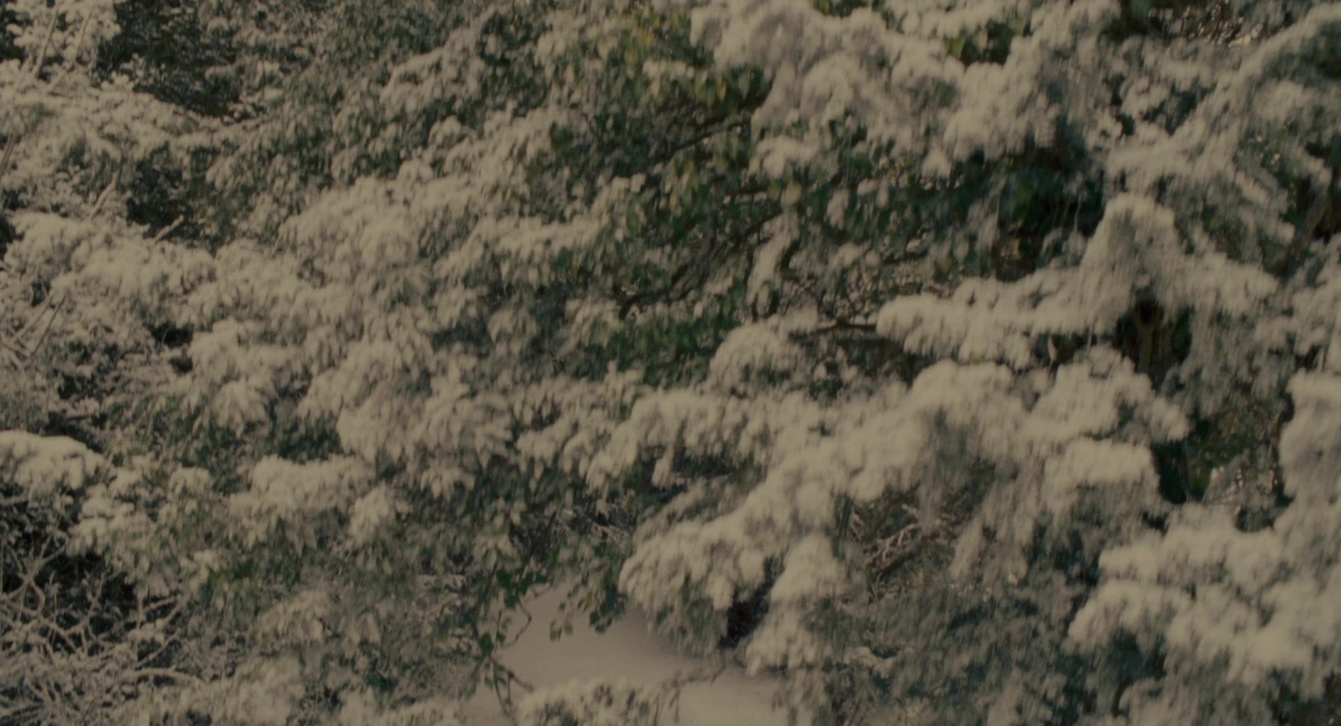 The Holiday (2006), wide, 1.85:1 — film still