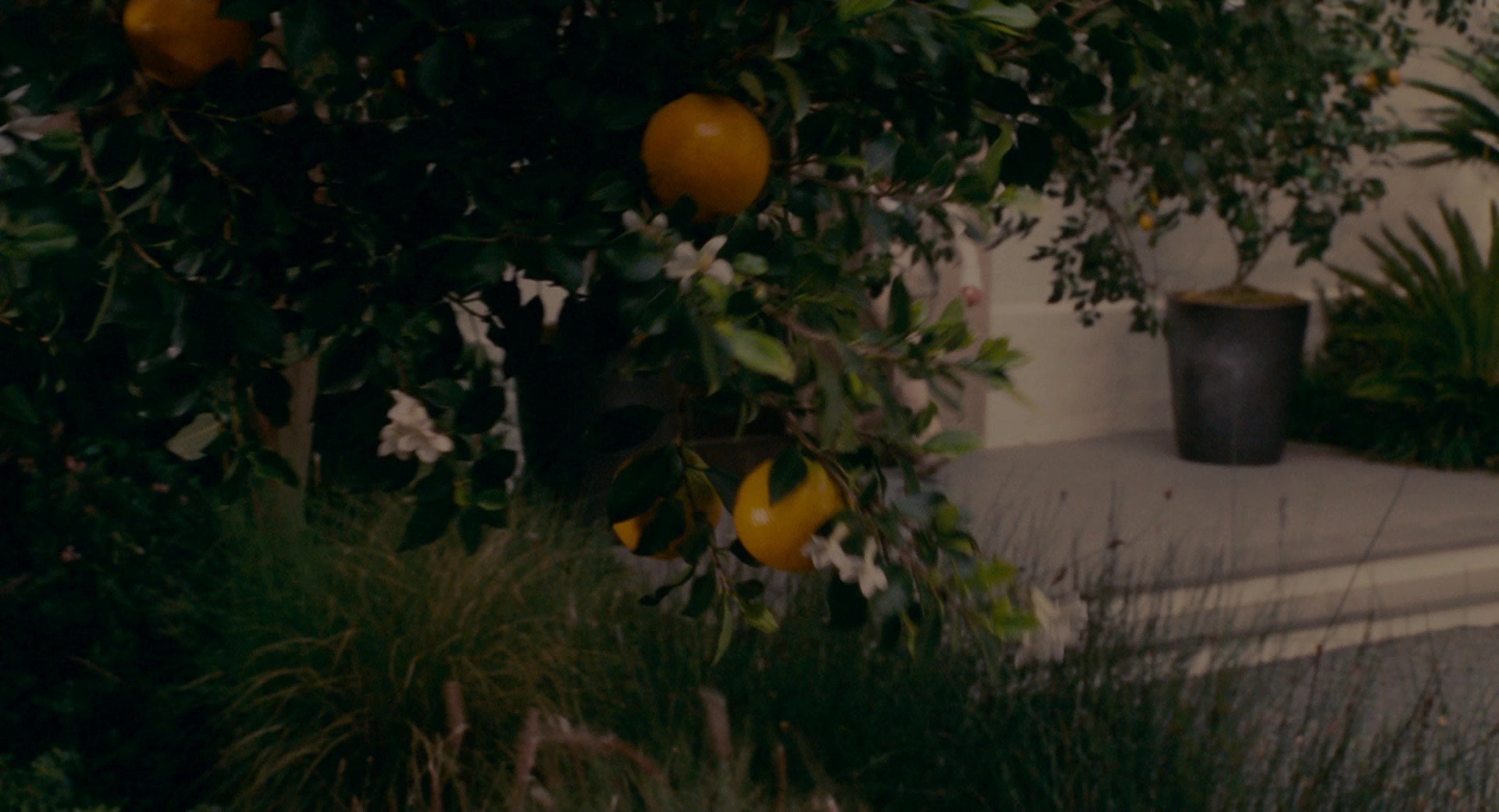 The Holiday (2006), wide, 1.85:1 — film still