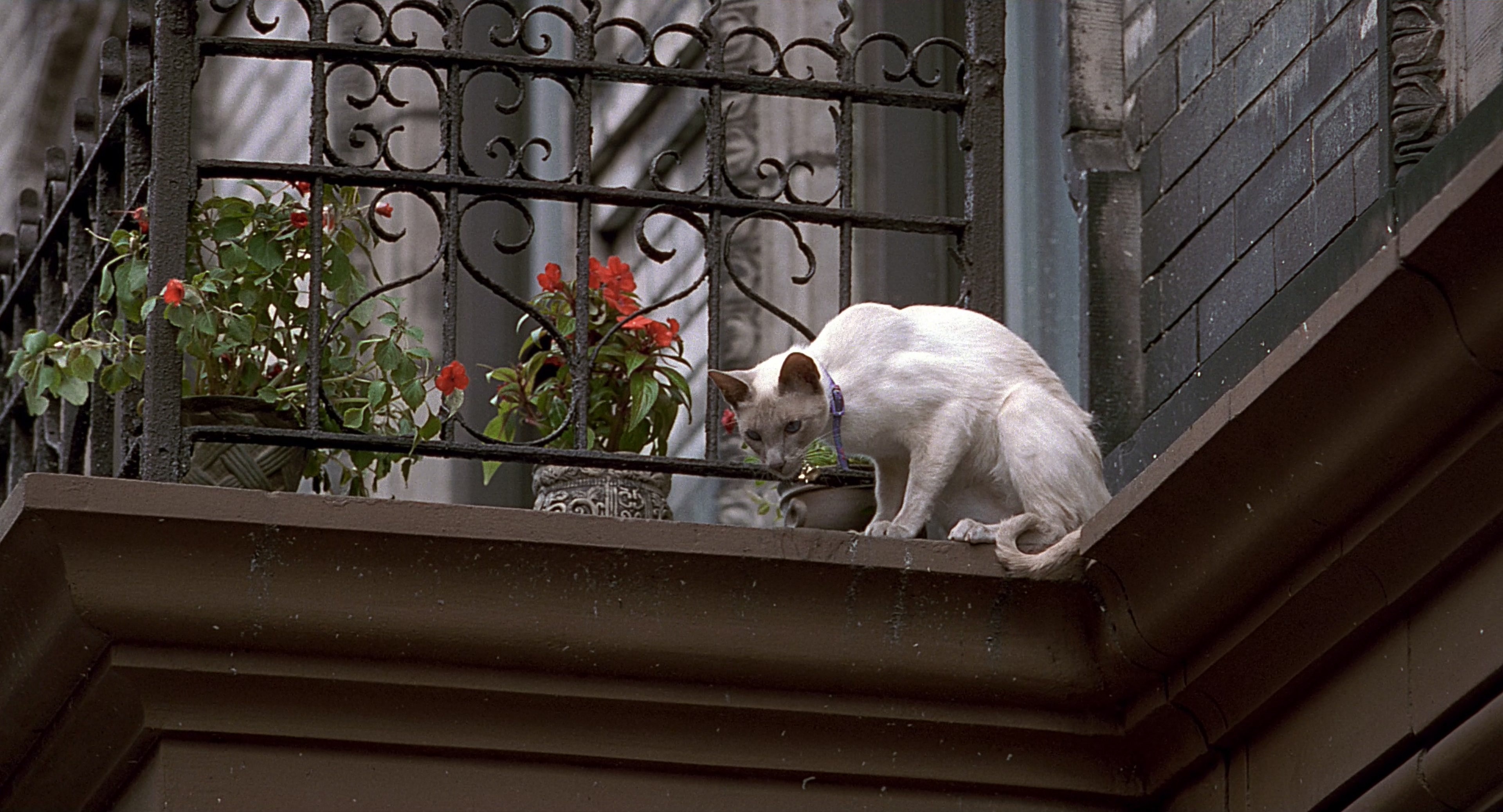 Men in Black (1997), wide, 1.85:1 — film still