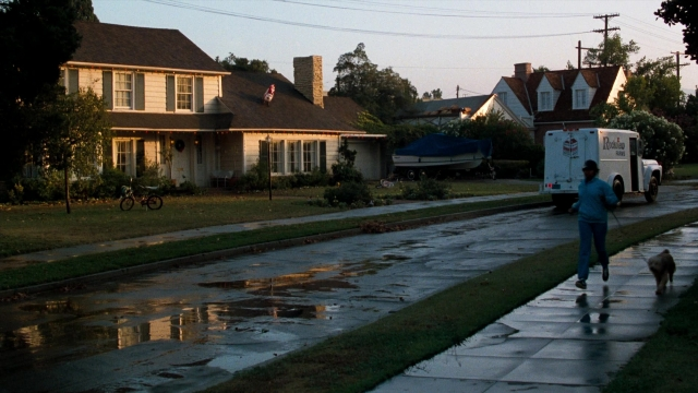 Wide shot frame from Lethal Weapon — walking, street, dog