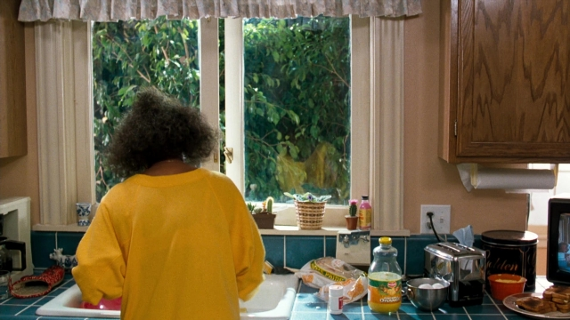 Frame from Lethal Weapon — standing, plate, kitchen