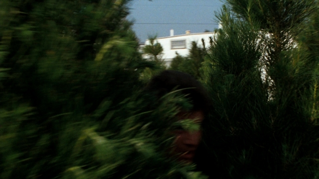 Wide shot frame from Lethal Weapon — face, forest, person