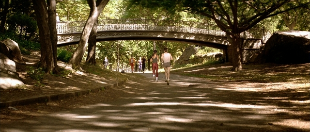 Wide shot frame from Léon — walking, person