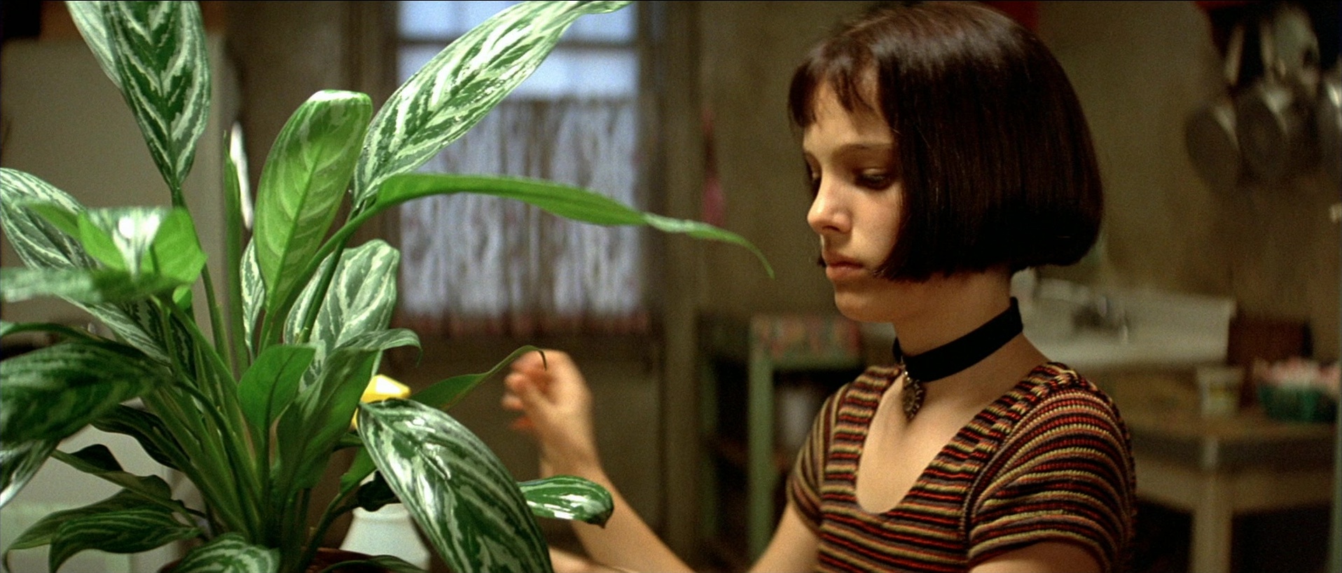 Léon (1994), wide, 2.34:1 — film still