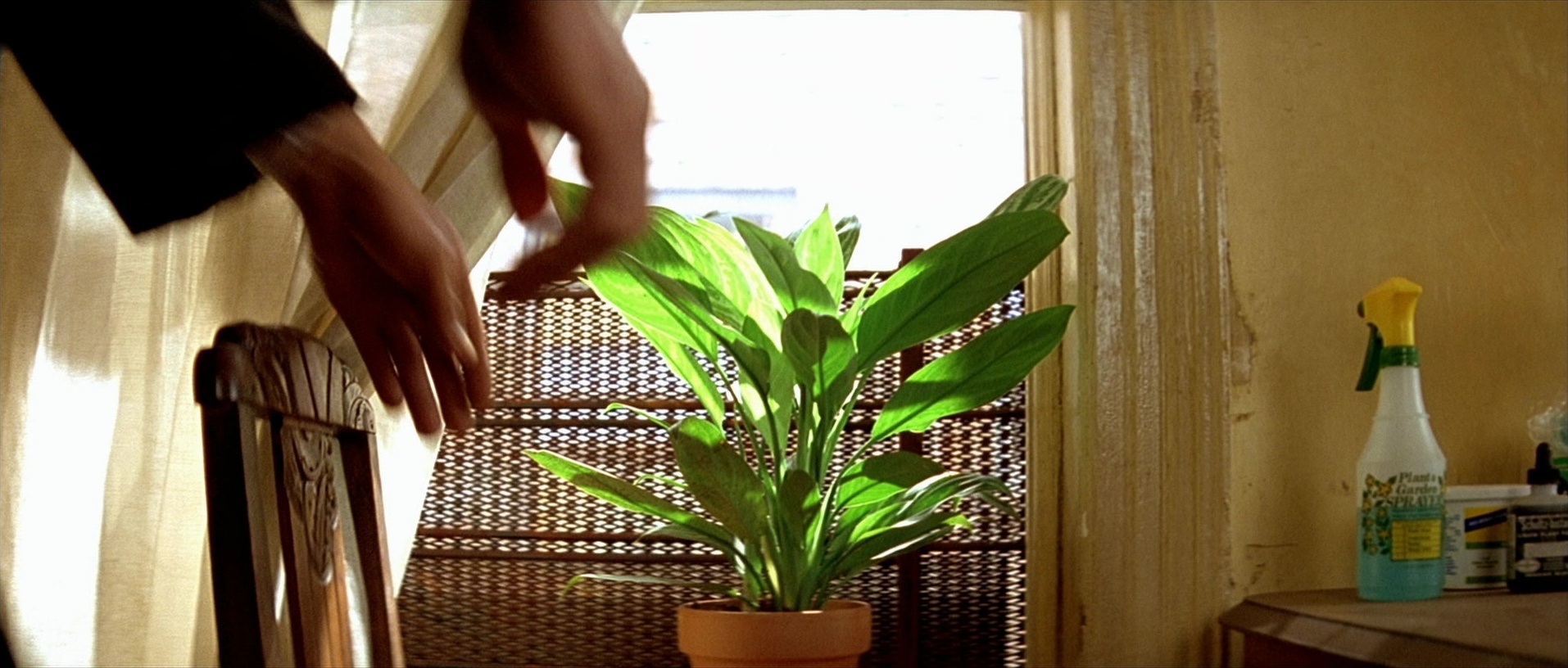 Léon (1994), wide, 2.35:1 — film still