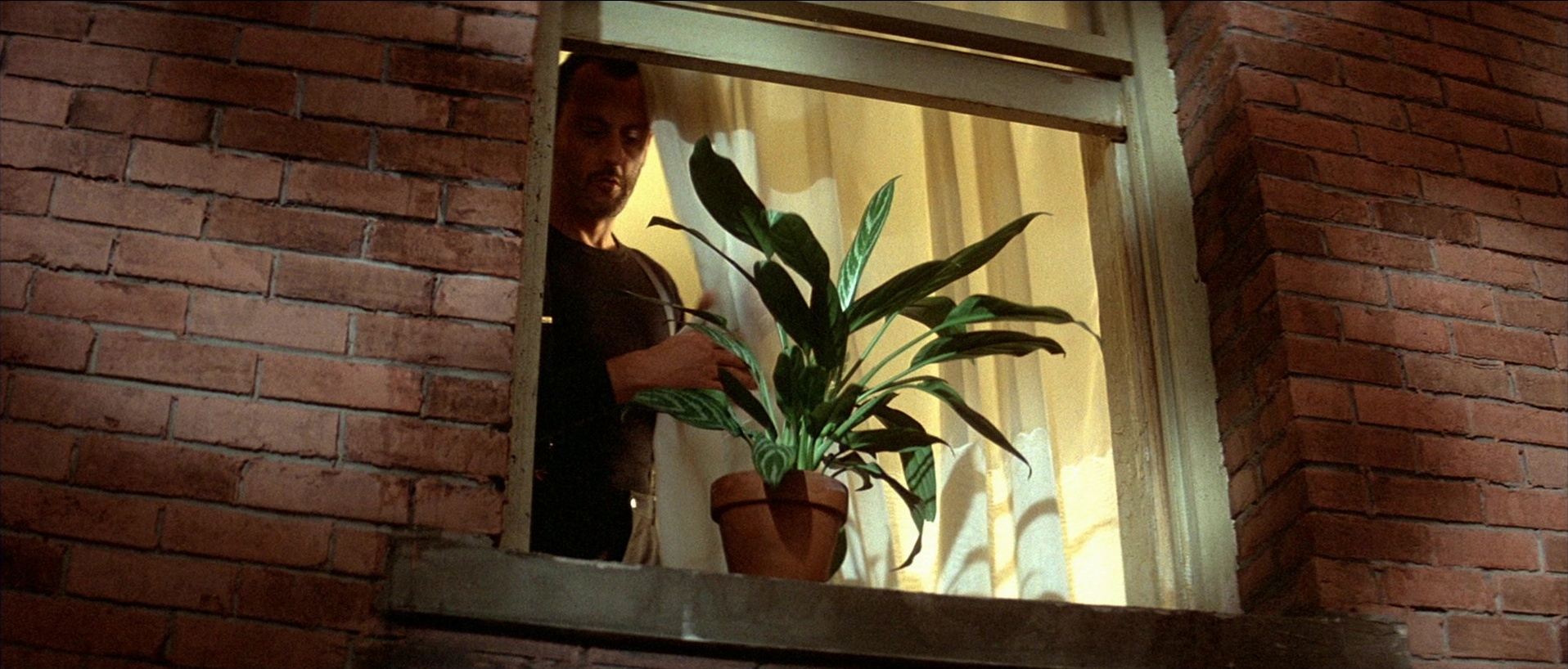 Léon (1994), wide, 2.34:1 — film still