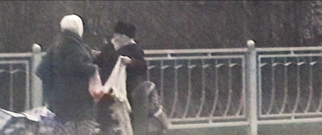 seria-1899583.jpg