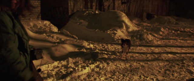 Wide shot frame from Compartiment n°6 — standing, room, animal