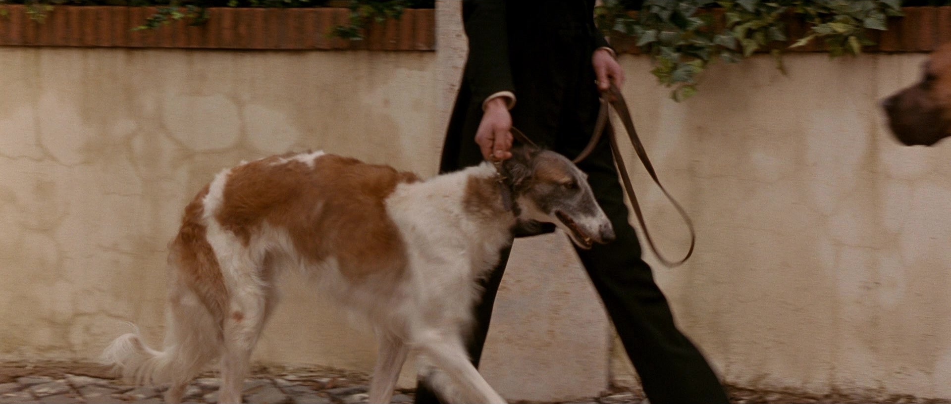 Gangs of New York (2002), wide, 2.35:1 — film still