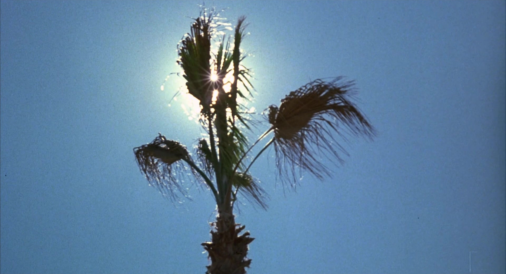 Cherry 2000 (1987), unknown, 1.85:1 — film still