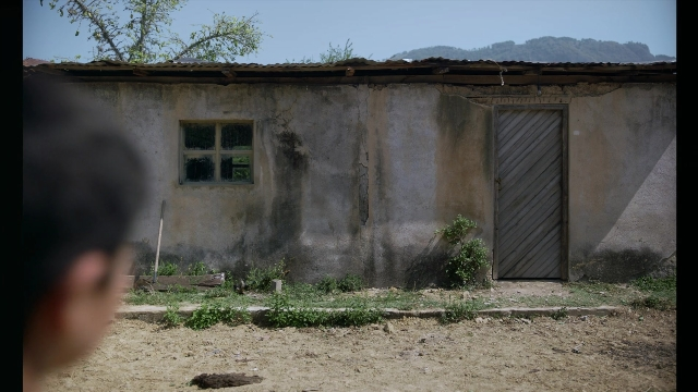 seria-2461250.jpg