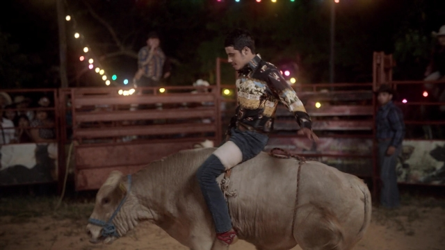 seria-3688958.jpg