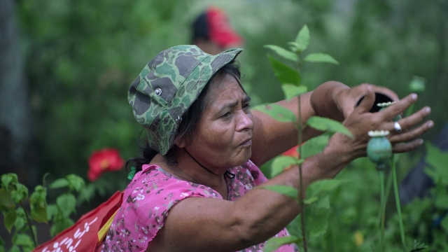 Noche de Fuego — film still