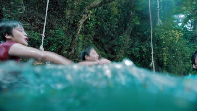 seria-4868333.jpg