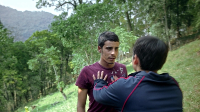 seria-5053958.jpg