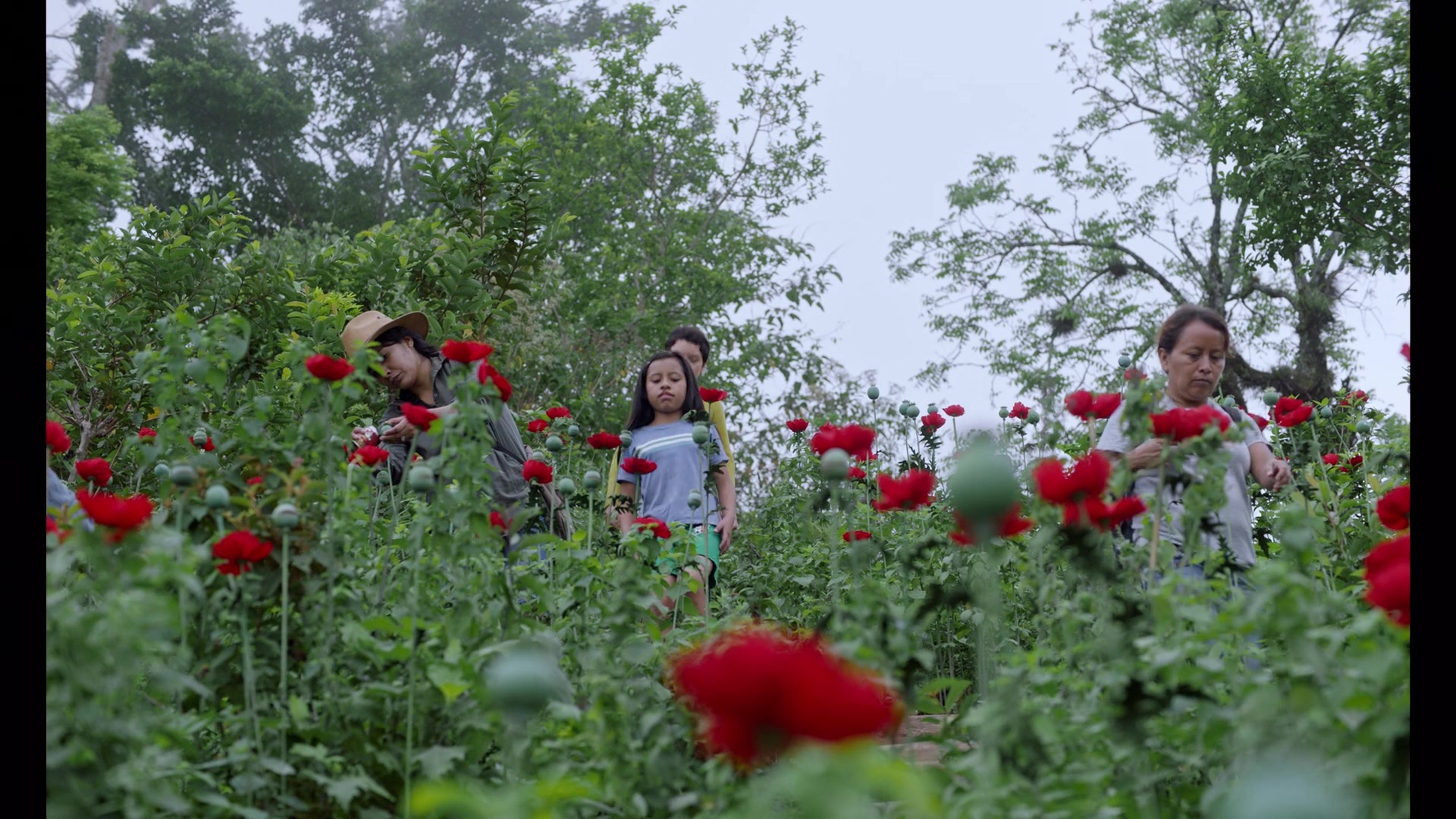 Noche de Fuego (2021), wide, 1.78:1 — film still