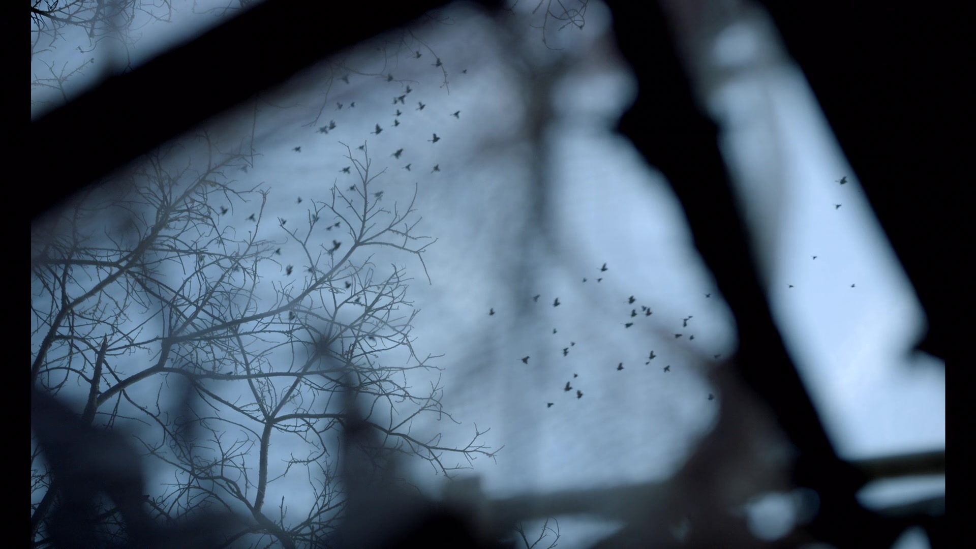 Noche de Fuego (2021), wide, 1.78:1 — film still
