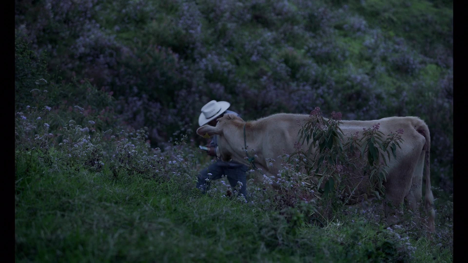 Noche de Fuego (2021), wide, 1.78:1 — film still