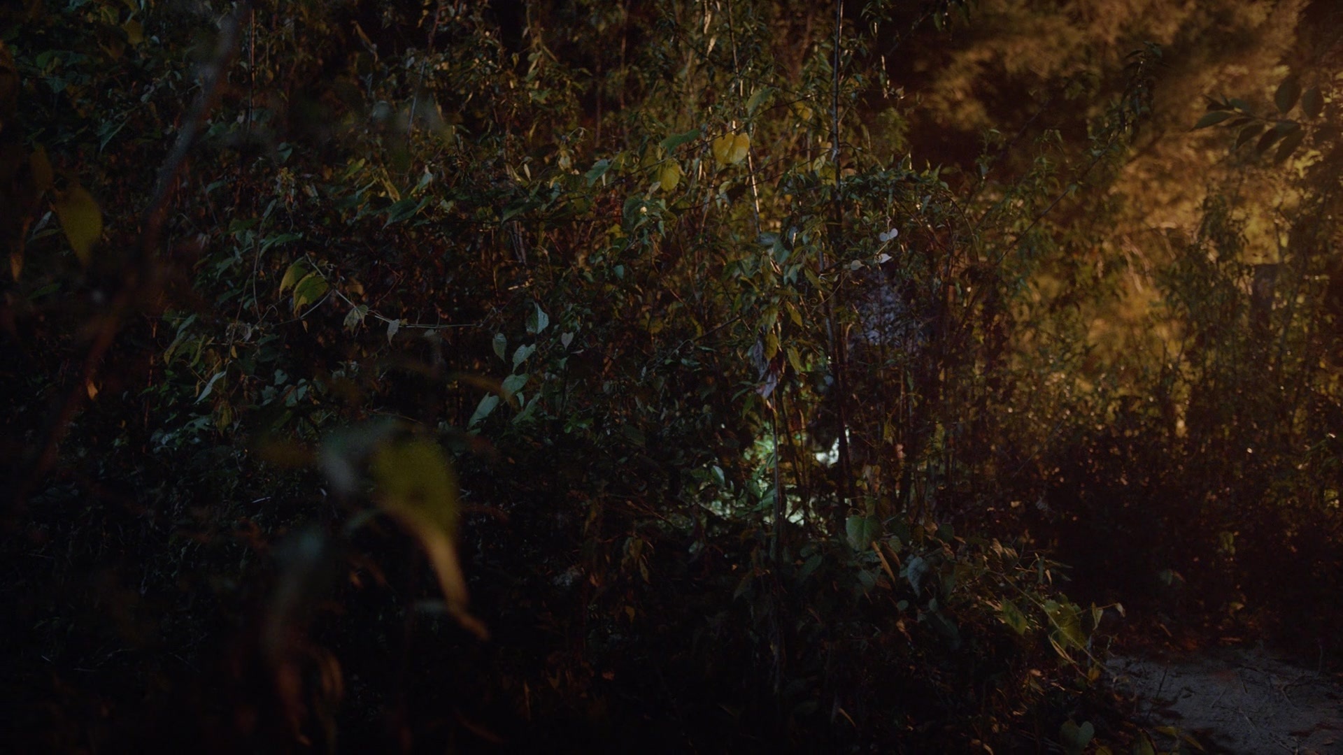 Noche de Fuego (2021), wide, 1.78:1 — film still