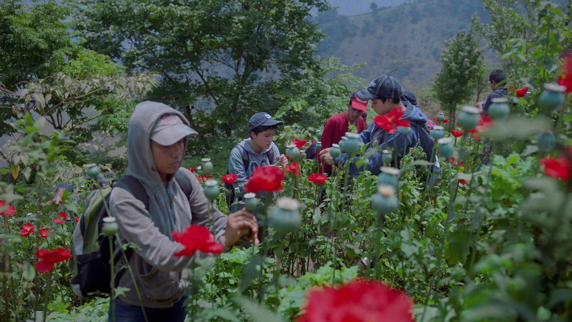 Noche de Fuego (2021), wide, 1.78:1 — film still