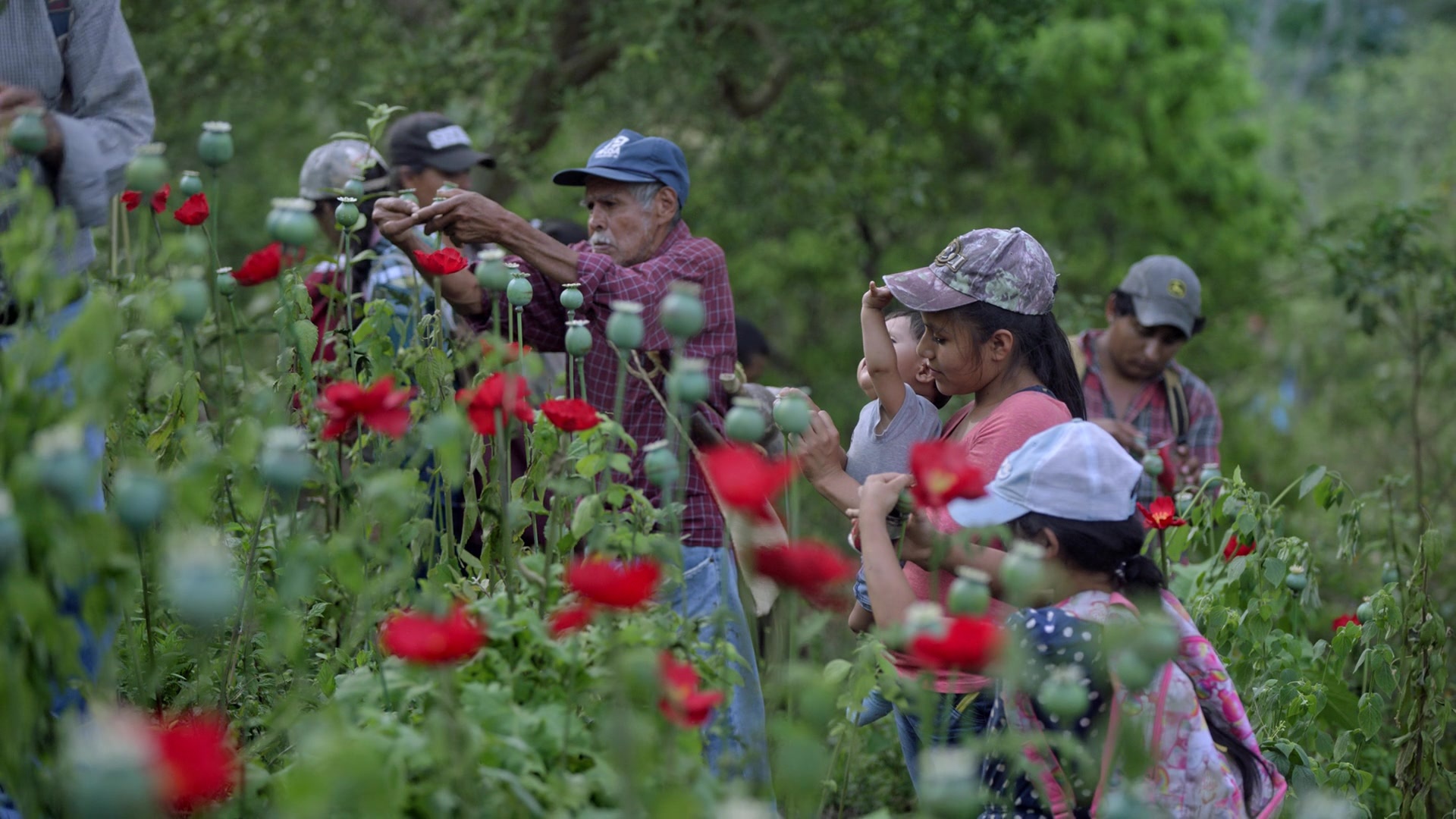 Noche de Fuego (2021), wide, 1.78:1 — film still