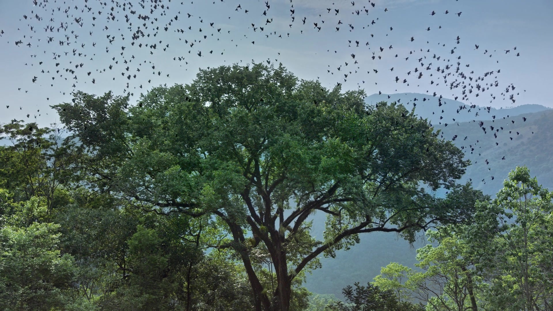 Noche de Fuego (2021), unknown, 1.78:1 — film still