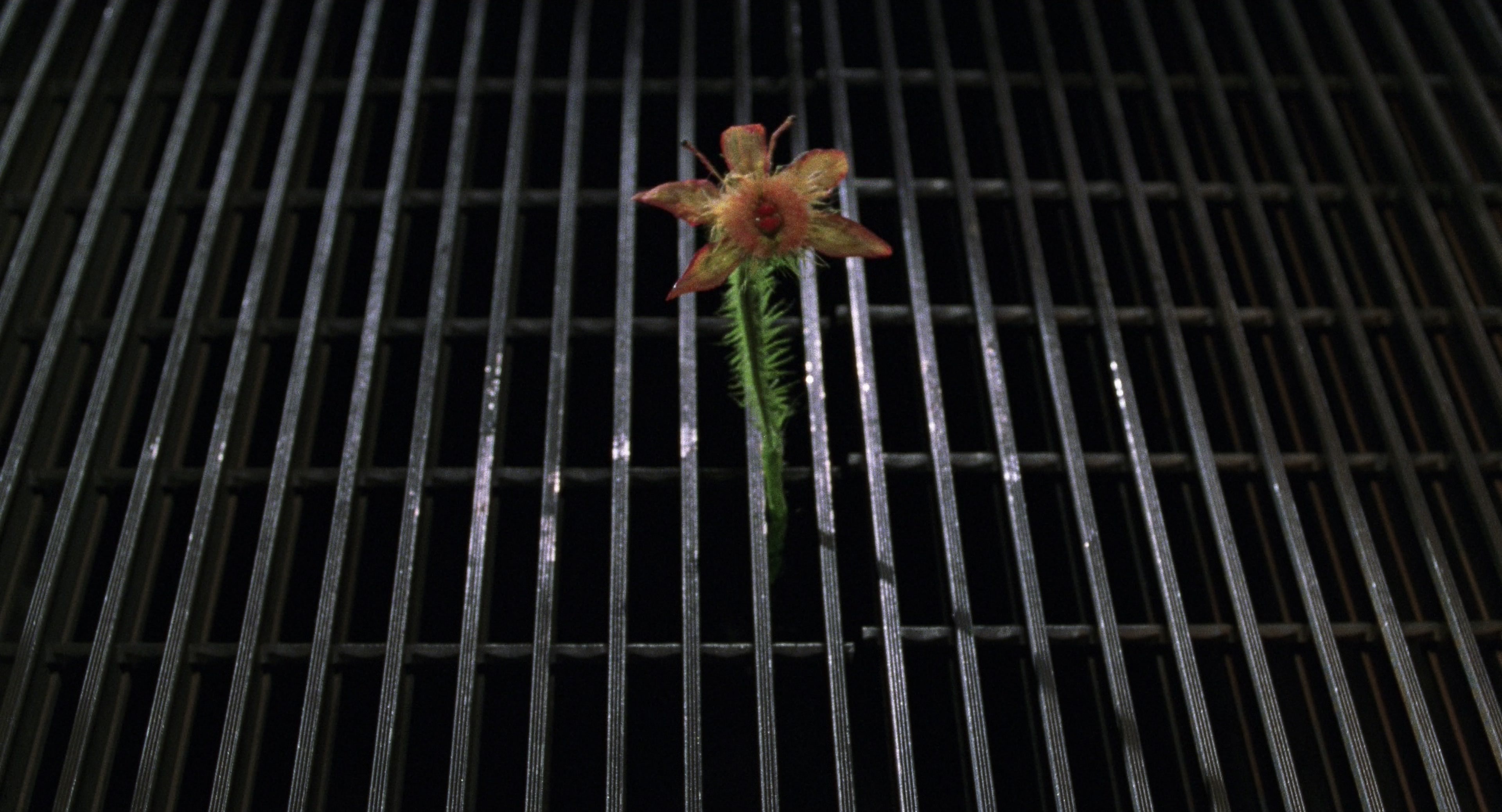 Men in Black II (2002), wide, 1.85:1 — film still