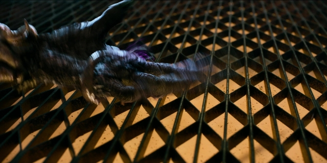 Wide shot frame from Men in Black International — animal, bird