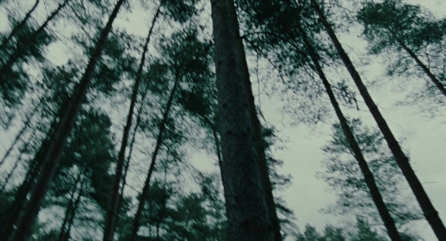 Wide shot frame from Children of Men — forest, palm tree