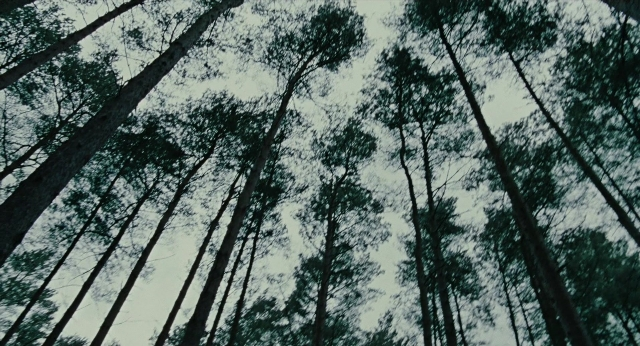 Wide shot frame from Children of Men — forest, palm tree