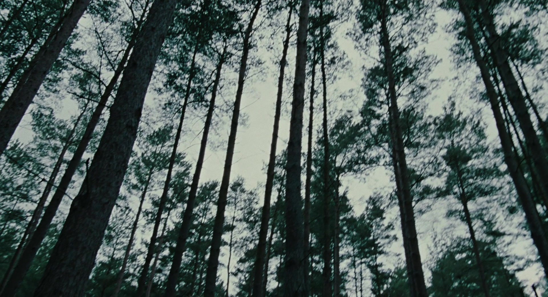 Children of Men (2006), wide, 1.85:1 — film still