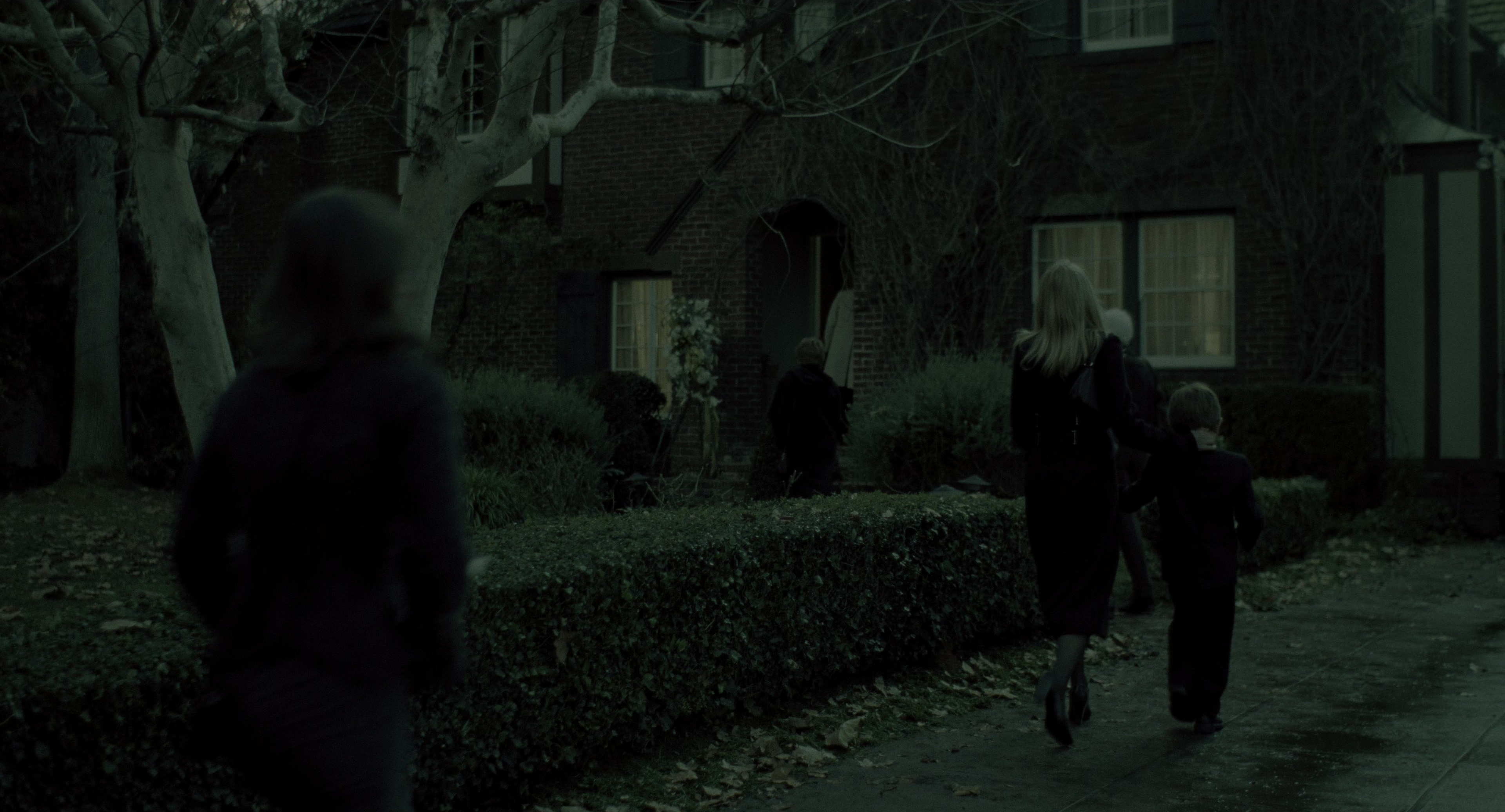 The Ring (2002), wide, 1.85:1 — film still
