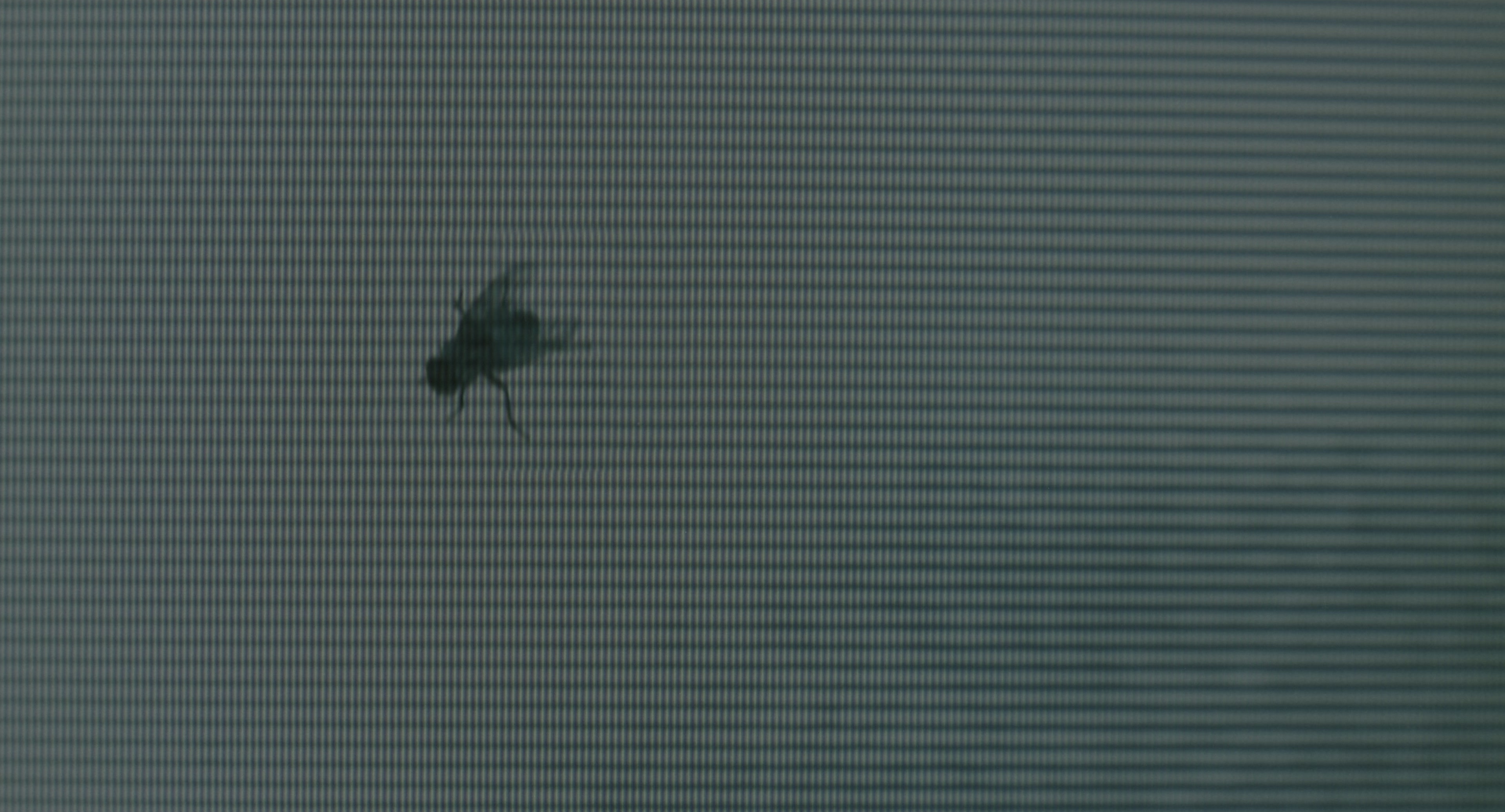The Ring (2002), unknown, 1.85:1 — film still