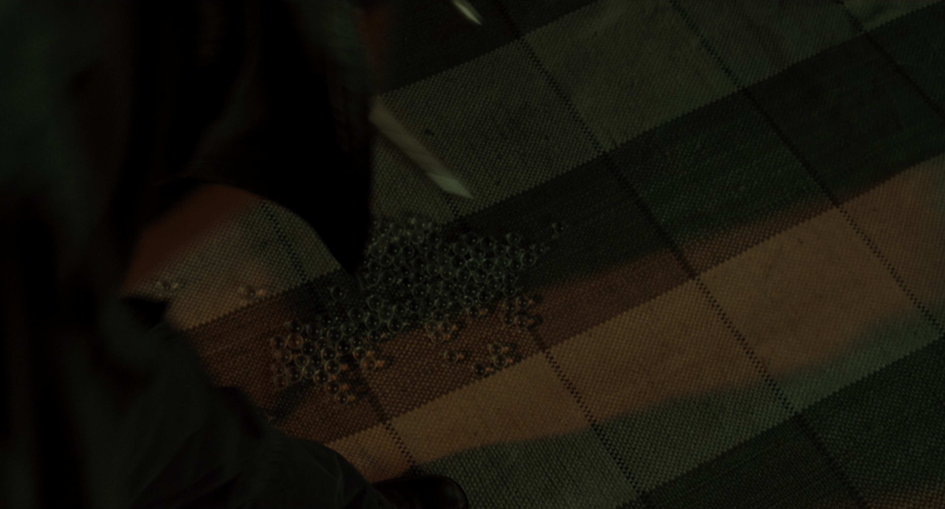 The Ring (2002), wide, 1.85:1 — film still