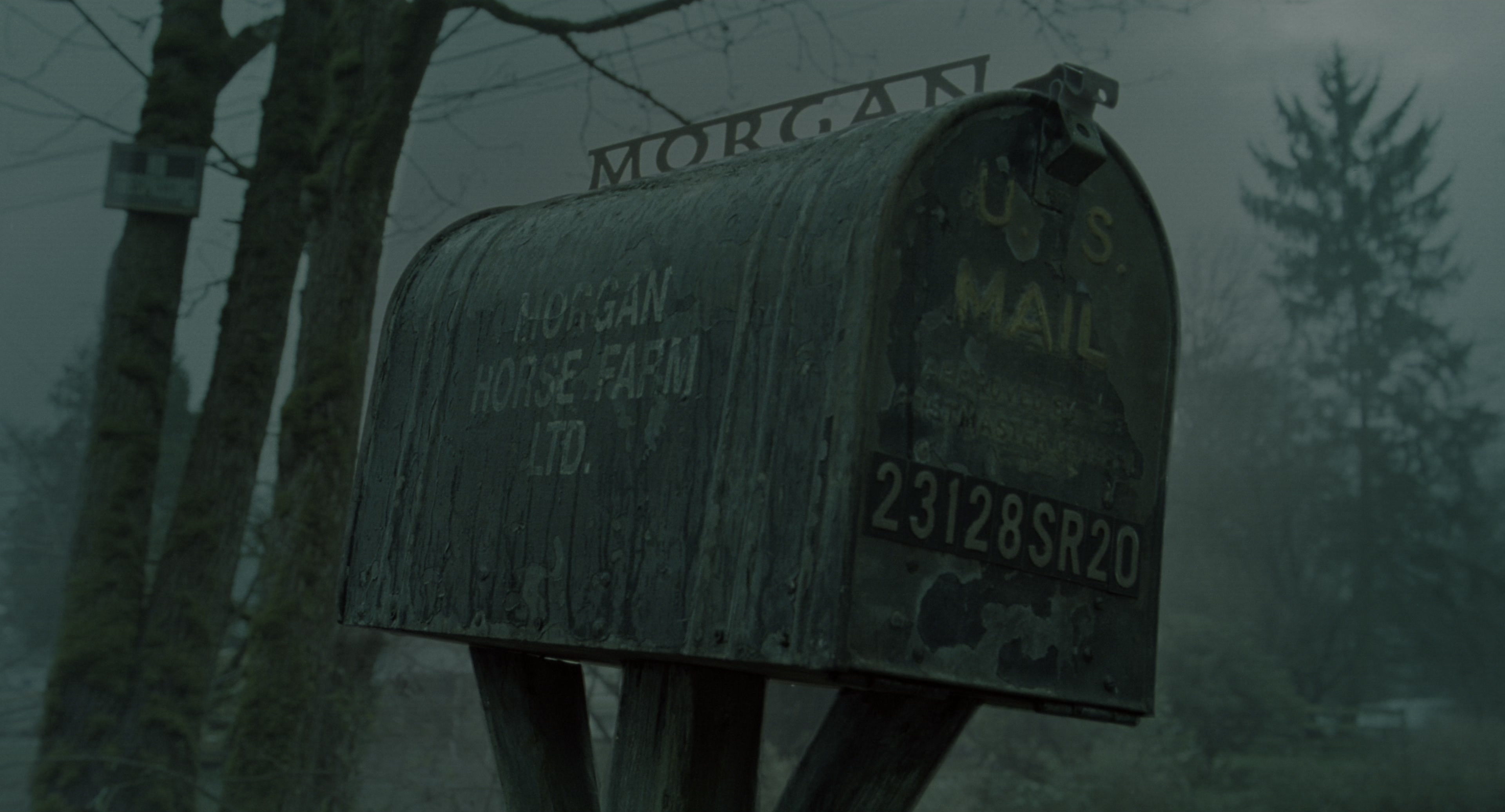 The Ring (2002), wide, 1.85:1 — film still