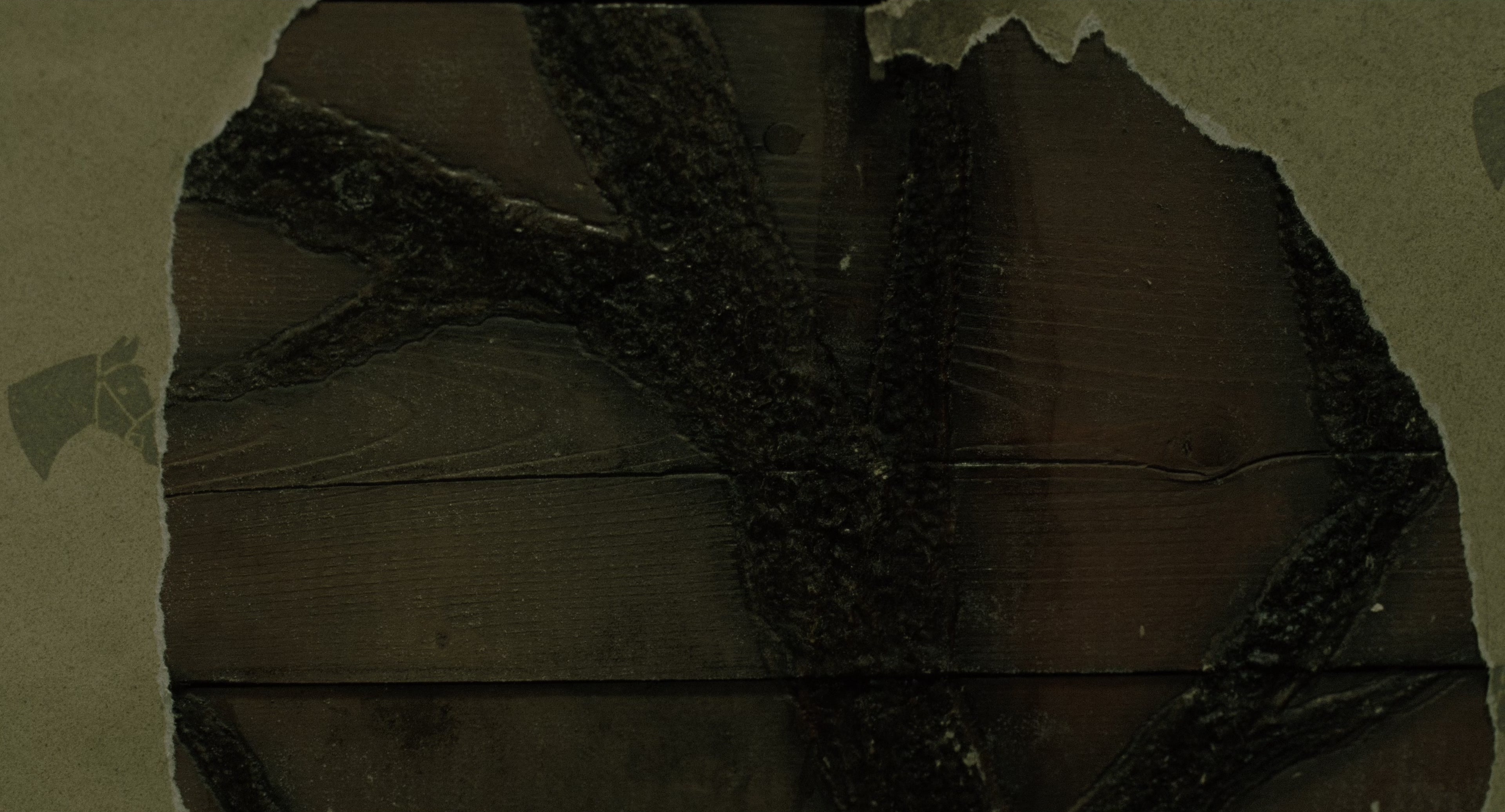The Ring (2002), wide, 1.85:1 — film still