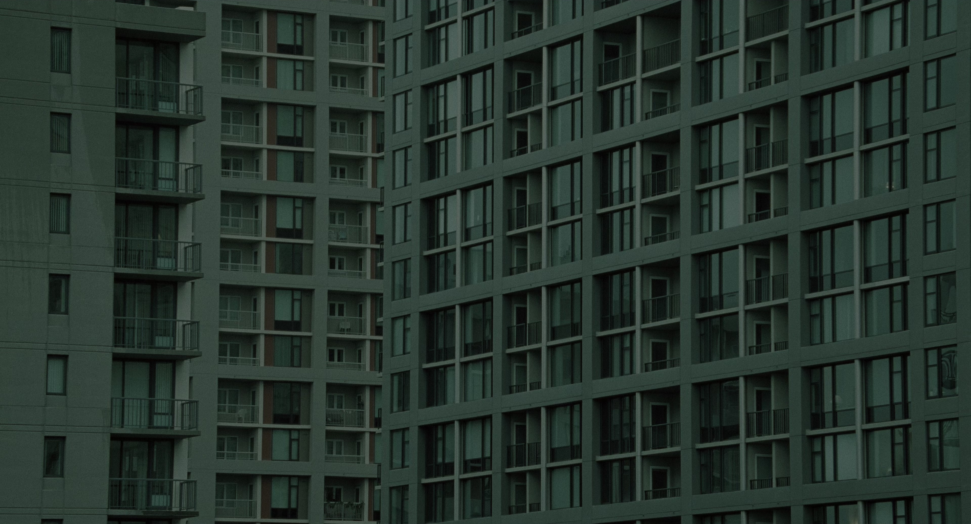 The Ring (2002), wide, 1.85:1 — film still